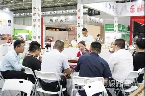 天弘茶业最新报价获取指南