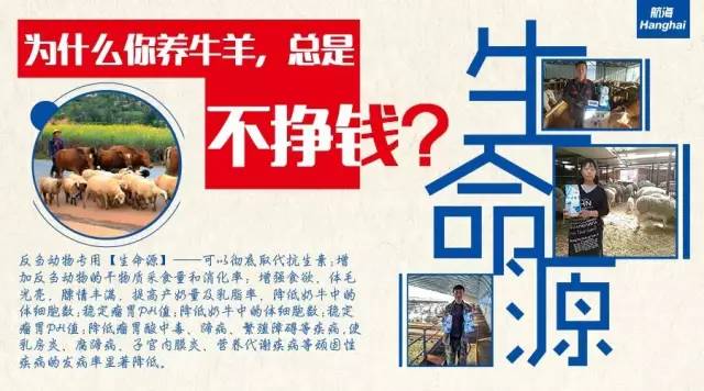 新澳高手论坛资料大全最新,实地应用实践解读_VDB23.887潮流版