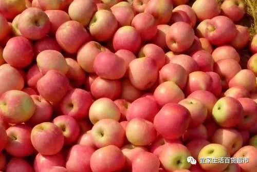 山西富士苹果最新价格