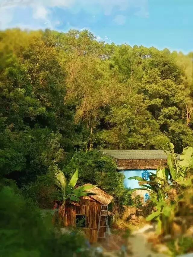 大朗最新新闻,探索自然美景的旅行,寻找内心的平和之地