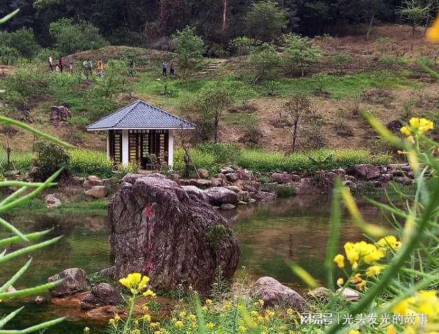 大朗最新新闻,探索自然美景的旅行,寻找内心的平和之地