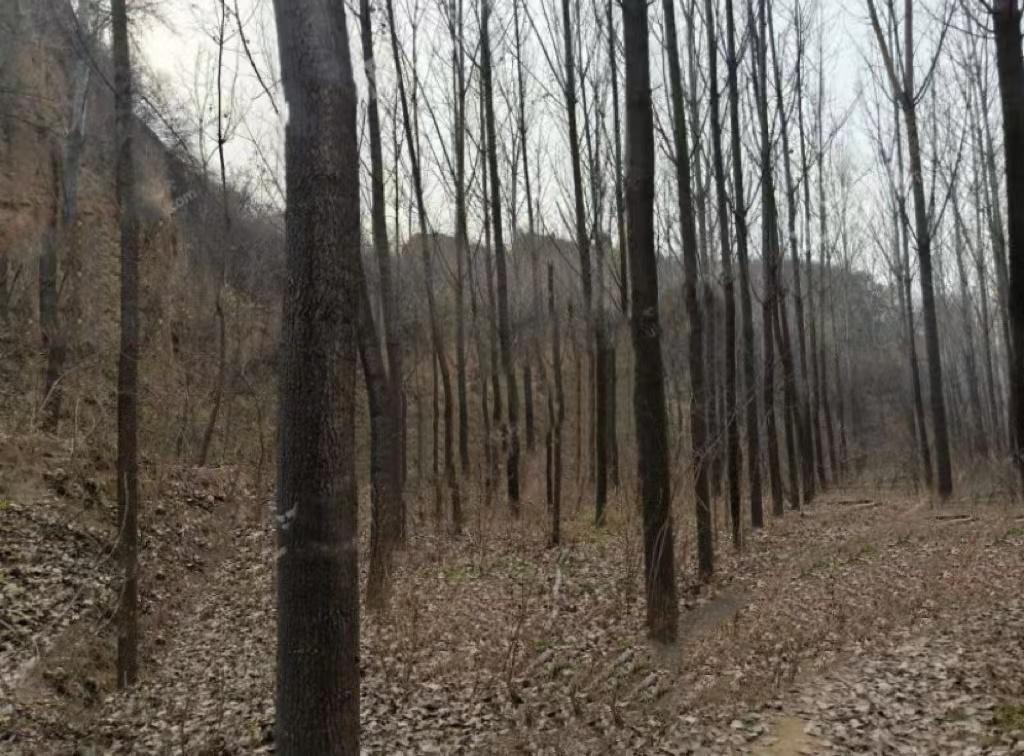 荥阳最新店面转让步骤指南(初学者/进阶用户适用)