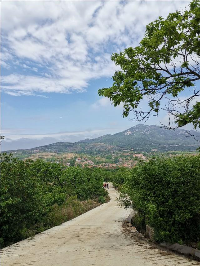胶南铁山最新招工启事,一场探索自然美景的旅行,寻找内心的平和宁静