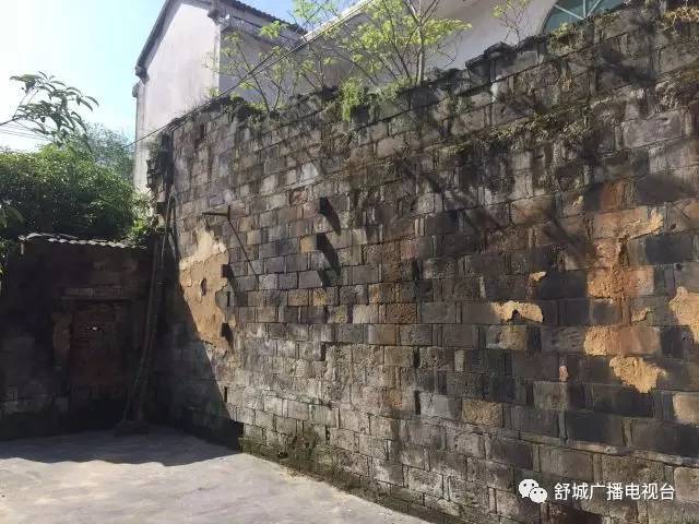 舒城最新消息,巷弄深处的独特风味——探访隐藏在小巷中的特色小店