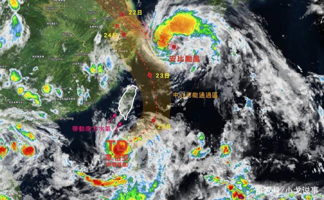 最新11号台风消息及其影响,深入分析与观点阐述
