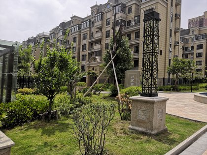 涡阳左岸小镇最新动态,科技前沿的小镇生活新体验