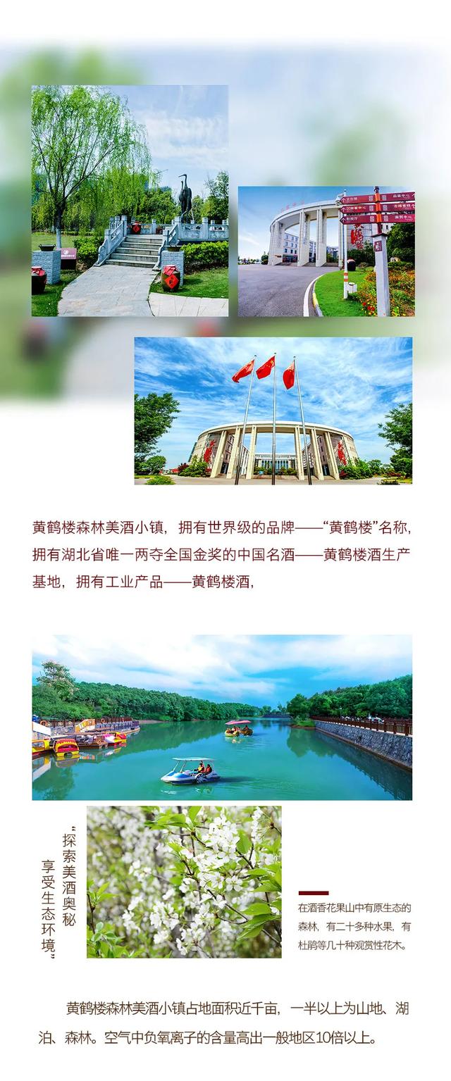 中卫信息招聘最新信息,启程,探索自然美景,寻找内心的平静