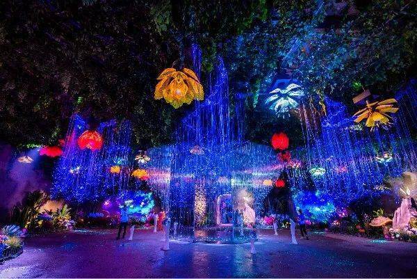 郑州天成珠宝最新活动,一场探索自然美景的珠宝之旅