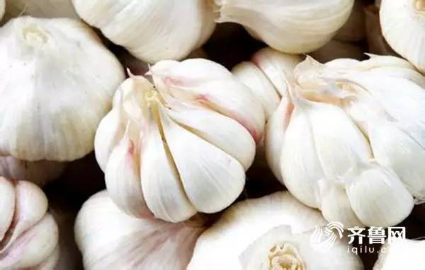 成武大蒜最新价格,踏上一场自然之旅,探寻内心的宁静与平和