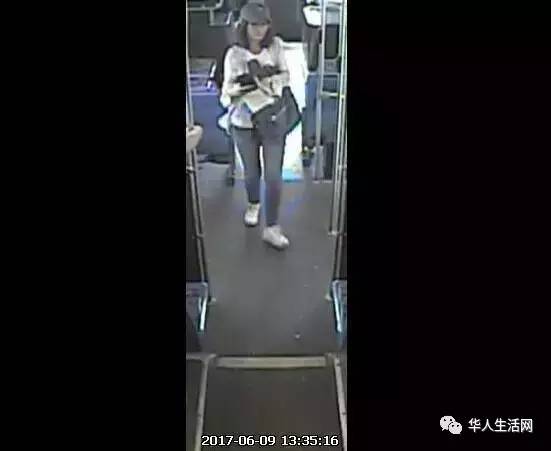 失踪北大女孩最新动态,如何追踪与关注失踪事件