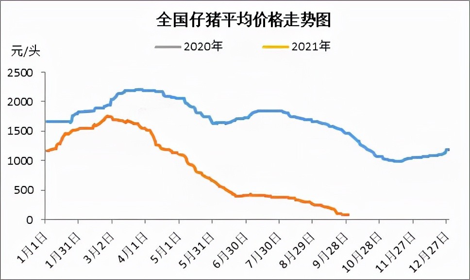 河北邯郸生猪最新价格,市场走势、影响因素及行业洞察