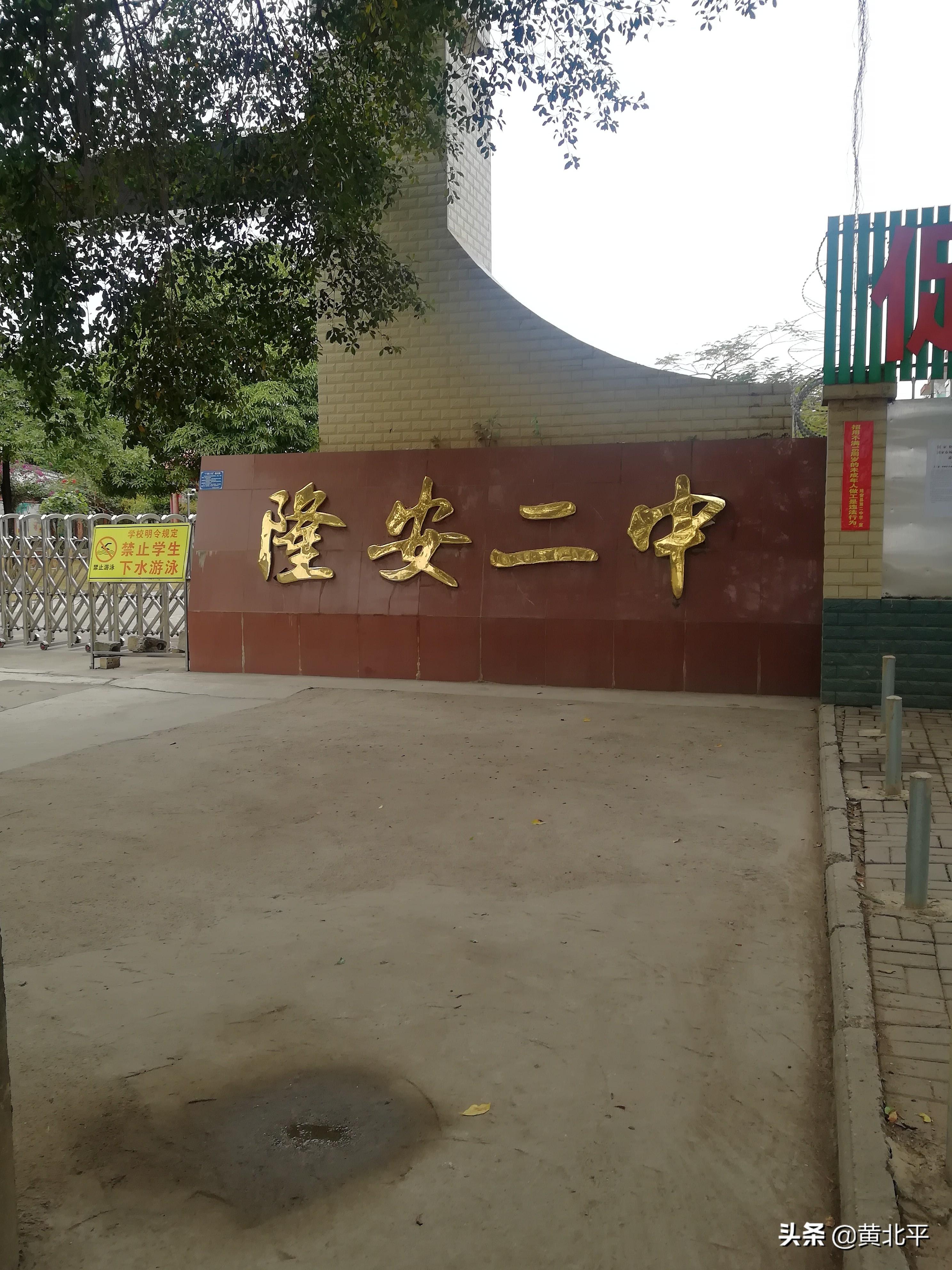 广西今日最新大蒜价格,变化、学习与自信的力量