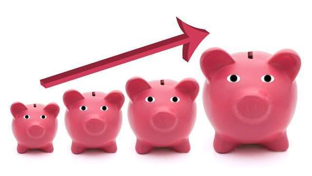 最新猪价uc报价,小巷深处的特色小店探秘