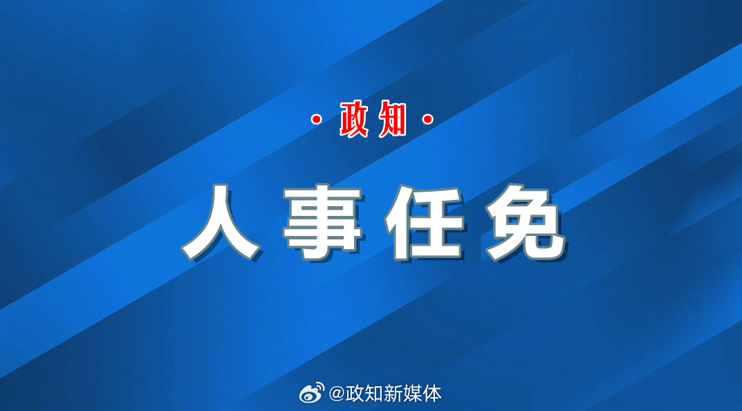 国家最新人事任免步骤指南