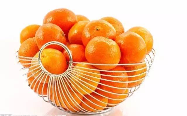 桔子最新品种,观点阐述