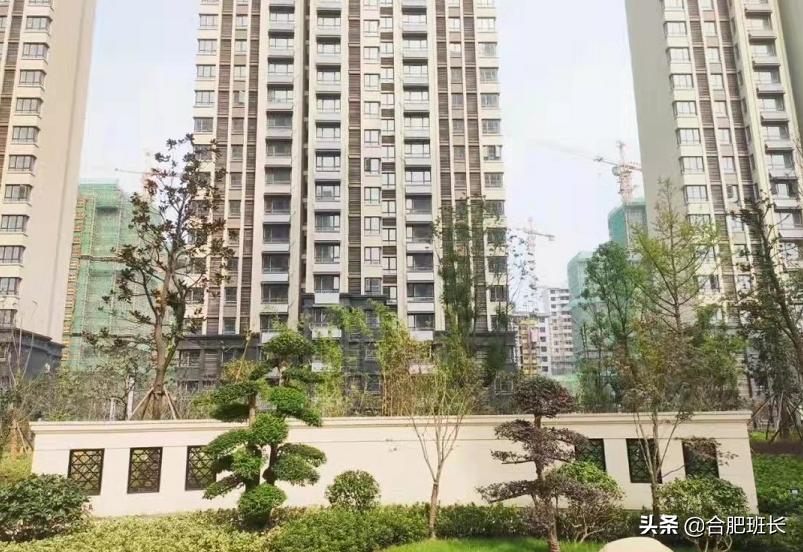 合肥滨湖沁园最新,一场自然美景的探索之旅