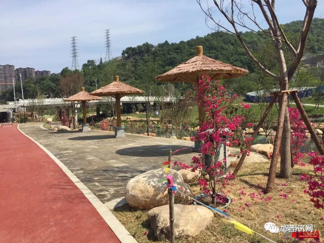 龙岩东山湿地公园最新奇遇,友情与陪伴的温馨画卷