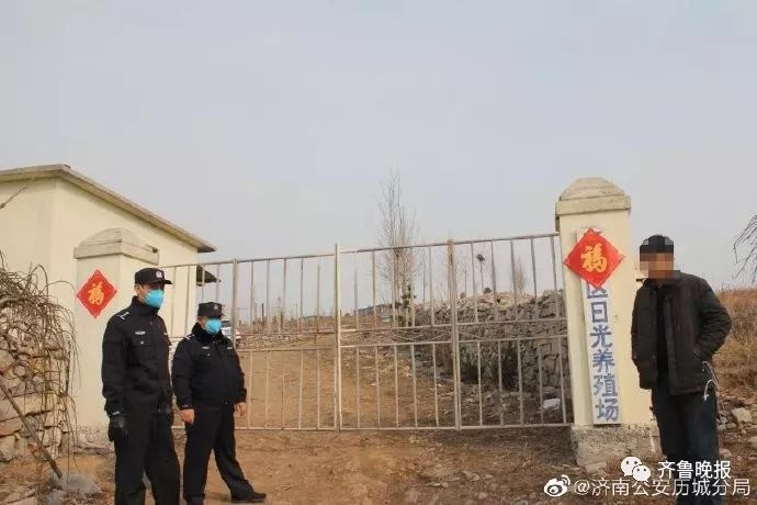 山东禁养区的最新进展,探寻小巷中的独特风味