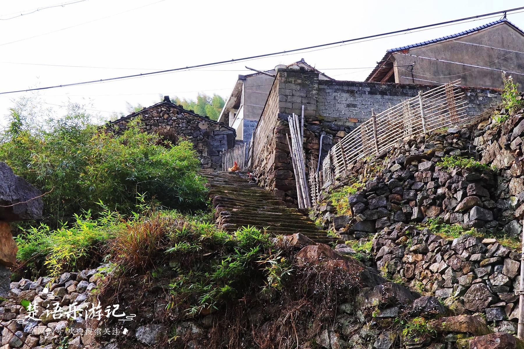 永康市朱长林最新消息,小巷中的独特风味秘境