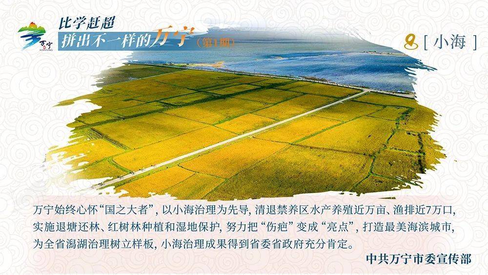 干棒河水库最新进展,全面指南与任务完成步骤