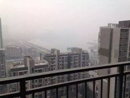 阳逻最新售二手房出售,购房指南与市场洞察