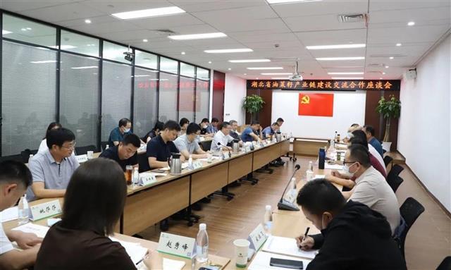 湖北省最新油菜籽价格行情,一场自然美景的旅行探索