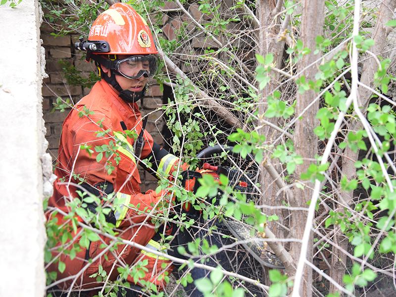 山西地震最新消息今天下午,科技守护生命的新力量