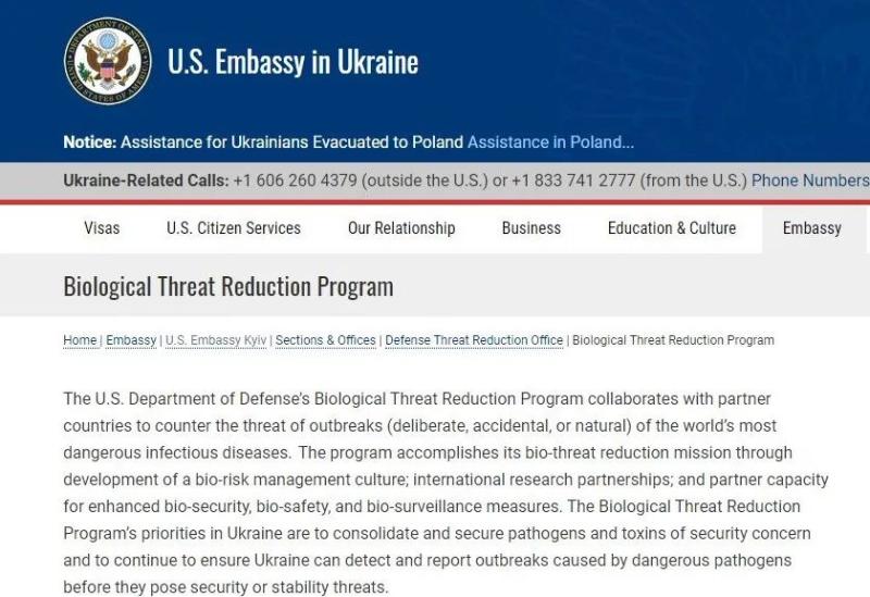 2024澳门今晚开特,新式数据解释设想_曝光版81.587