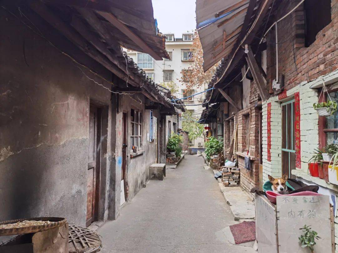 岳各庄棚户区最新消息,小巷深处的惊喜探索