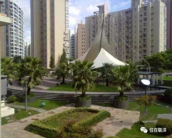 伊滨区9号小区的新政策与温馨日常