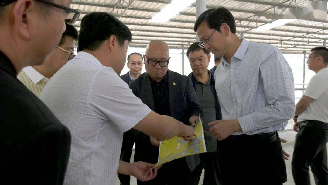 关于二七区教育局最新地址的重要信息解读