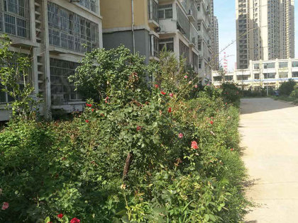 高淳区最新二手房卖买，科技重塑居住新体验