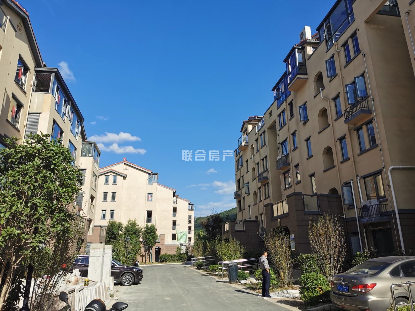 黑山二手楼最新消息🏠📣