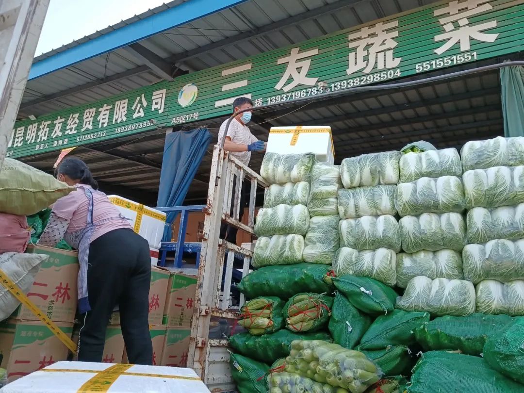 万邦蔬菜最新批发价格的奇妙之旅