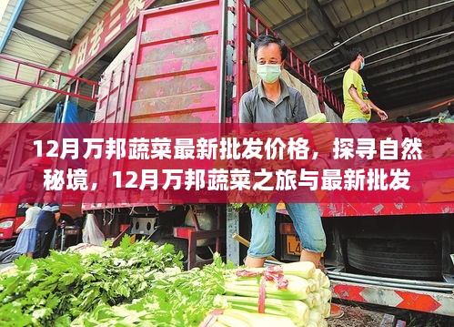 万邦蔬菜最新批发价格的奇妙之旅