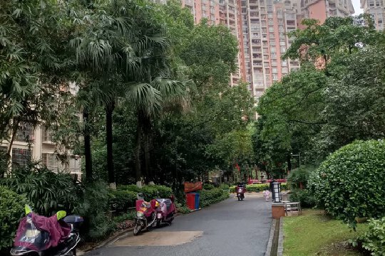 玉林市二手房最新信息,变化中的家园,自信与成就感的源泉