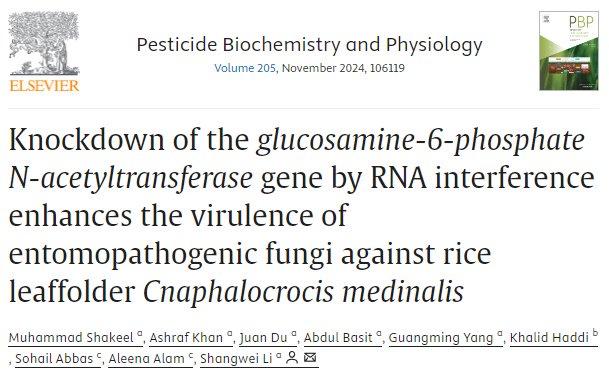 2024澳门正版雷锋网站,中国语言文学_互动版84.313