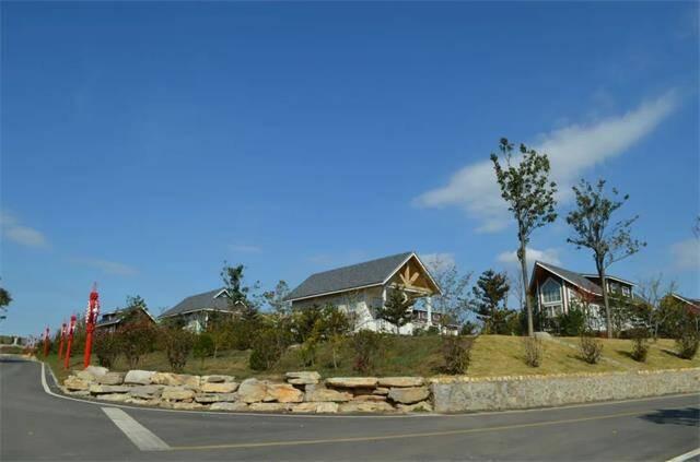 莱阳文登高速最新进展