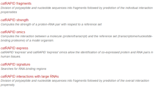新澳门一肖一特一中,操作实践评估_设计师版74.402