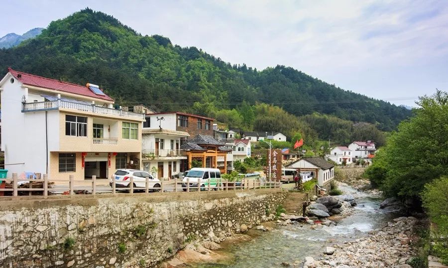 金寨县千坪村最新消息