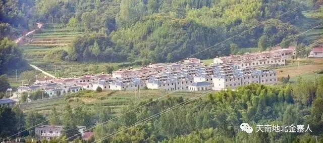 金寨县千坪村最新消息