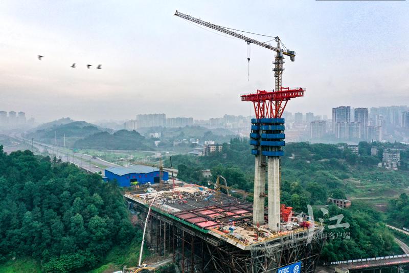 泸州长江六桥最新进展与一段温馨的桥梁故事