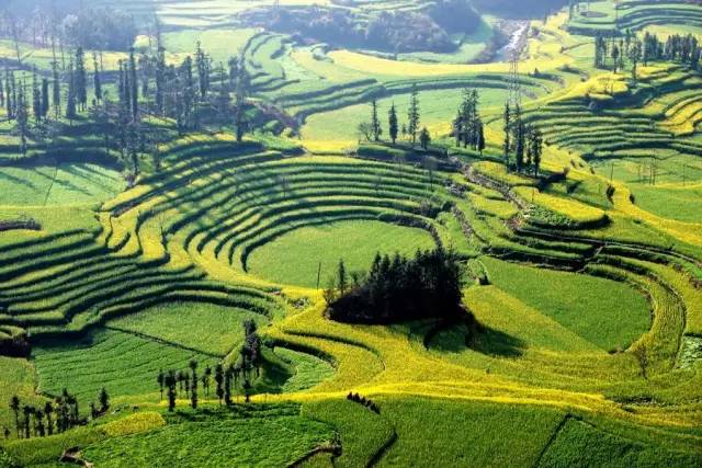 罗平县阿岗镇的日常趣事,爱与陪伴的温馨时光