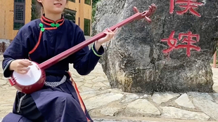 龙州县天琴谷最新消息——一曲悠扬,一段温情