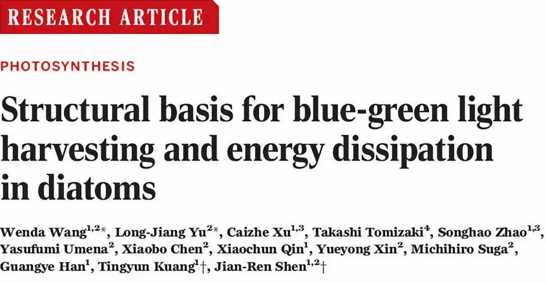 新奥门特免费资料大全198期,科学解释分析_月光版24.875