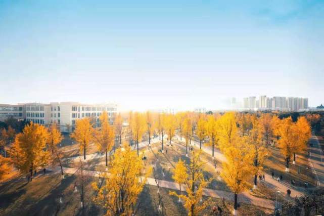 澳彩资料免费的资料大全wwe,科学解释分析_原型版40.412