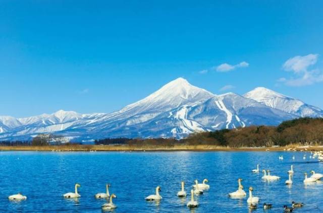 最新日本闹,一场与自然美景的亲密旅行