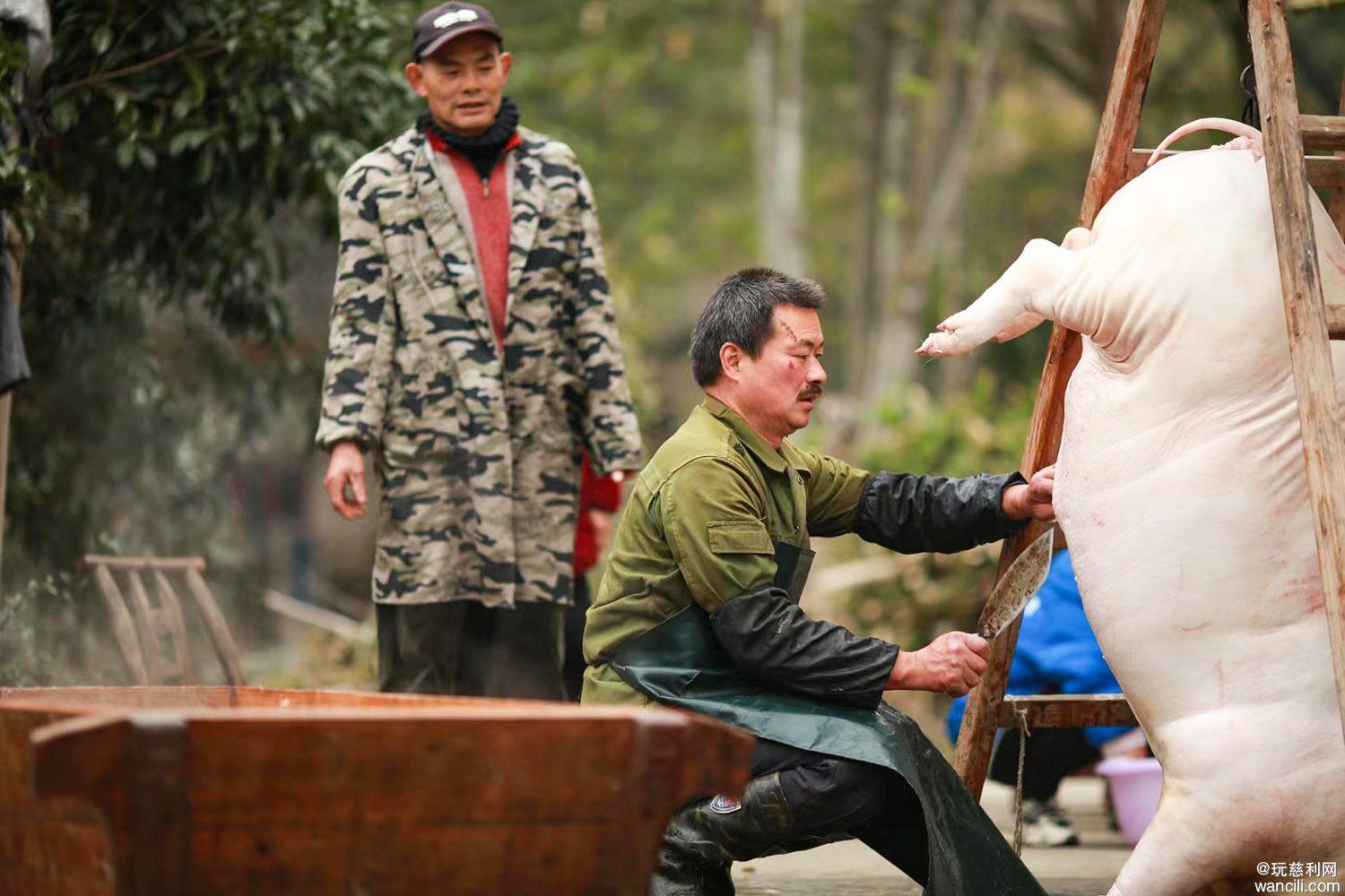 杀猪最新版详细步骤指南(适用于初学者及进阶用户)