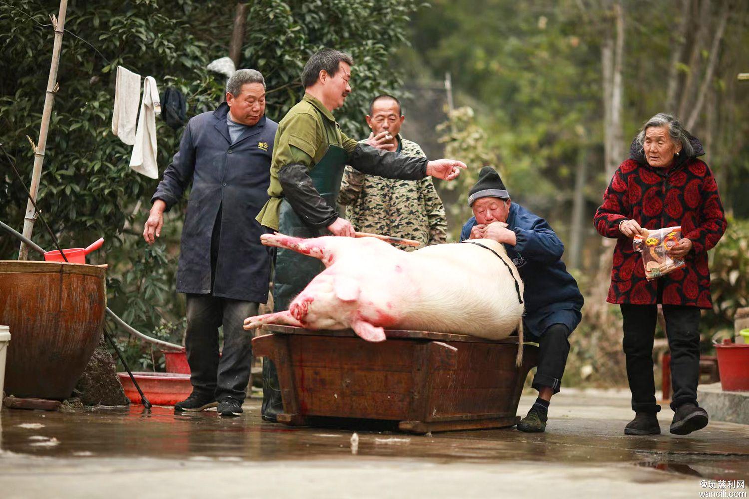 杀猪最新版详细步骤指南(适用于初学者及进阶用户)