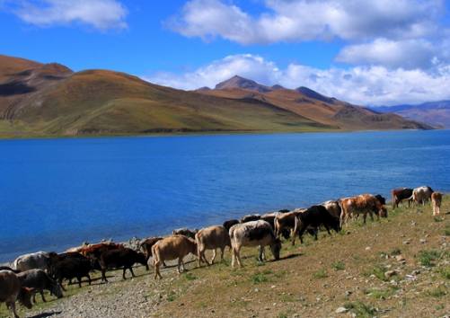 河北最新通知,今天,让我们踏上探索自然美景的旅程